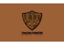 design a modern custom logo and font design